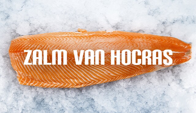 Zalm van Hocras